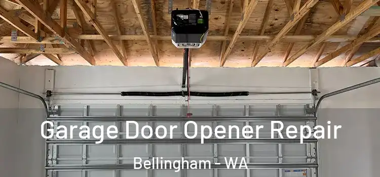  Garage Door Opener Repair Bellingham - WA