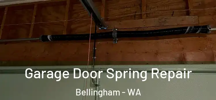  Garage Door Spring Repair Bellingham - WA