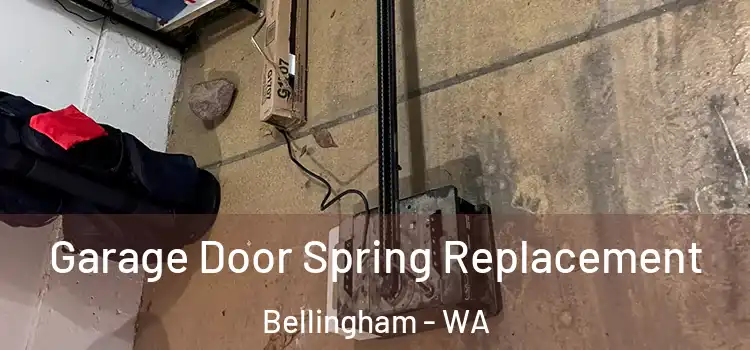  Garage Door Spring Replacement Bellingham - WA