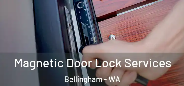 Magnetic Door Lock Services Bellingham - WA
