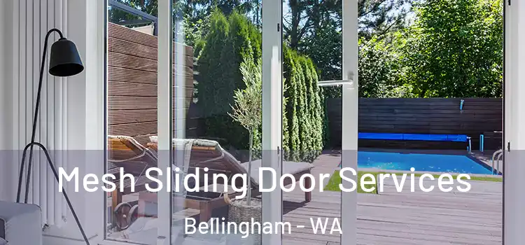 Mesh Sliding Door Services Bellingham - WA