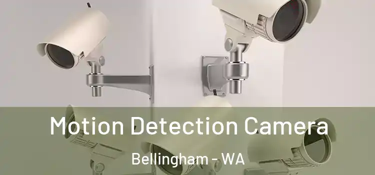 Motion Detection Camera Bellingham - WA